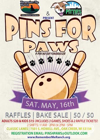 Pins for Paws 2015