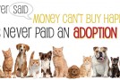 Mac’s Pet Depot Barkery Adoption Events